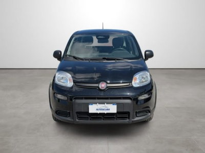Fiat Panda 1.0 firefly hybrid s&s 70cv 5p.ti (2)