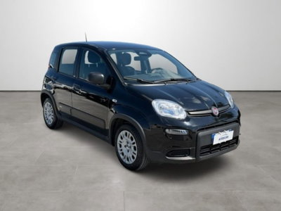 Fiat Panda 1.0 firefly hybrid s&s 70cv 5p.ti (3)