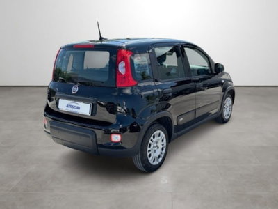 Fiat Panda 1.0 firefly hybrid s&s 70cv 5p.ti (4)
