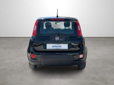 Fiat Panda 1.0 firefly hybrid s&s 70cv 5p.ti (5)