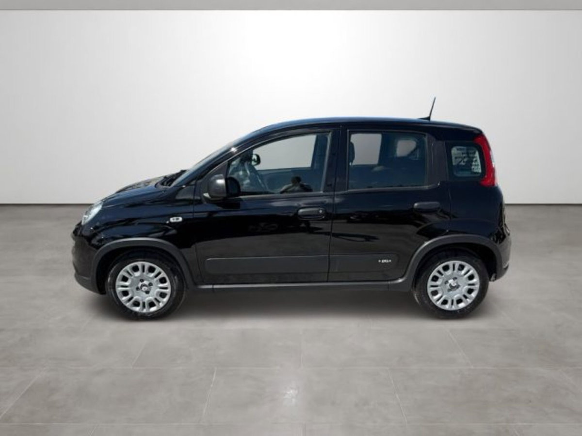 Fiat Panda 1.0 firefly hybrid s&s 70cv 5p.ti (7)