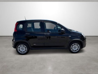 Fiat Panda 1.0 firefly hybrid s&s 70cv 5p.ti (8)