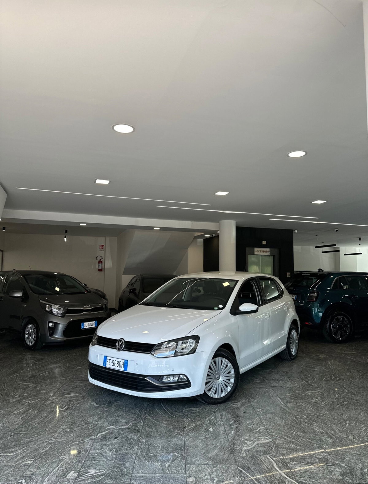 Volkswagen Polo 1.4 TDI 5p. Trendline BlueMotion Technology