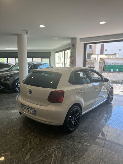 Volkswagen Polo 1.2 TDI DPF 5 p. Trendline (4)