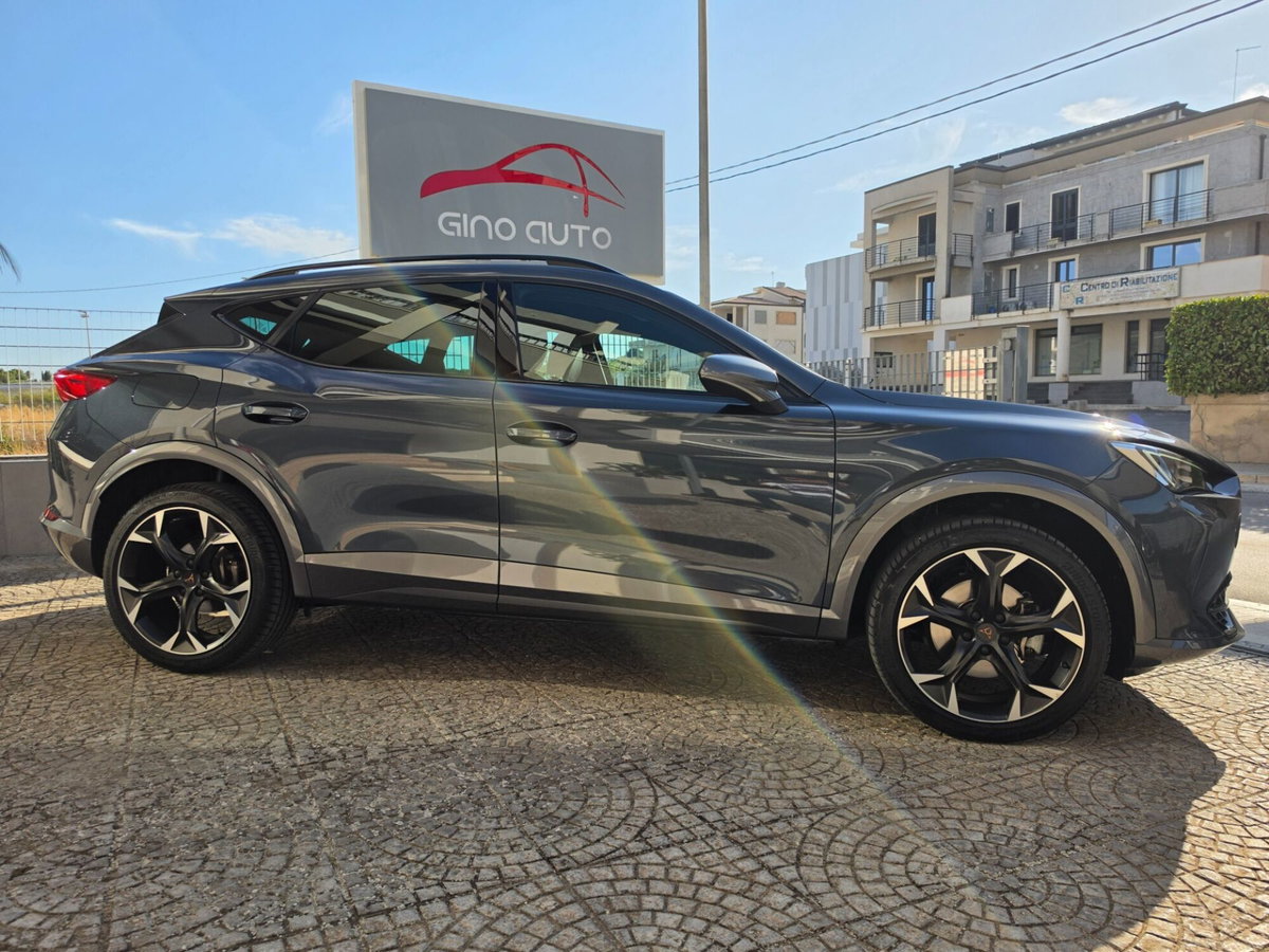 Cupra Formentor Formentor 2.0 TDI (10)