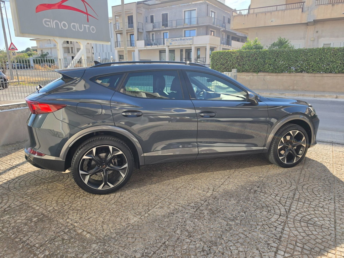 Cupra Formentor Formentor 2.0 TDI (11)