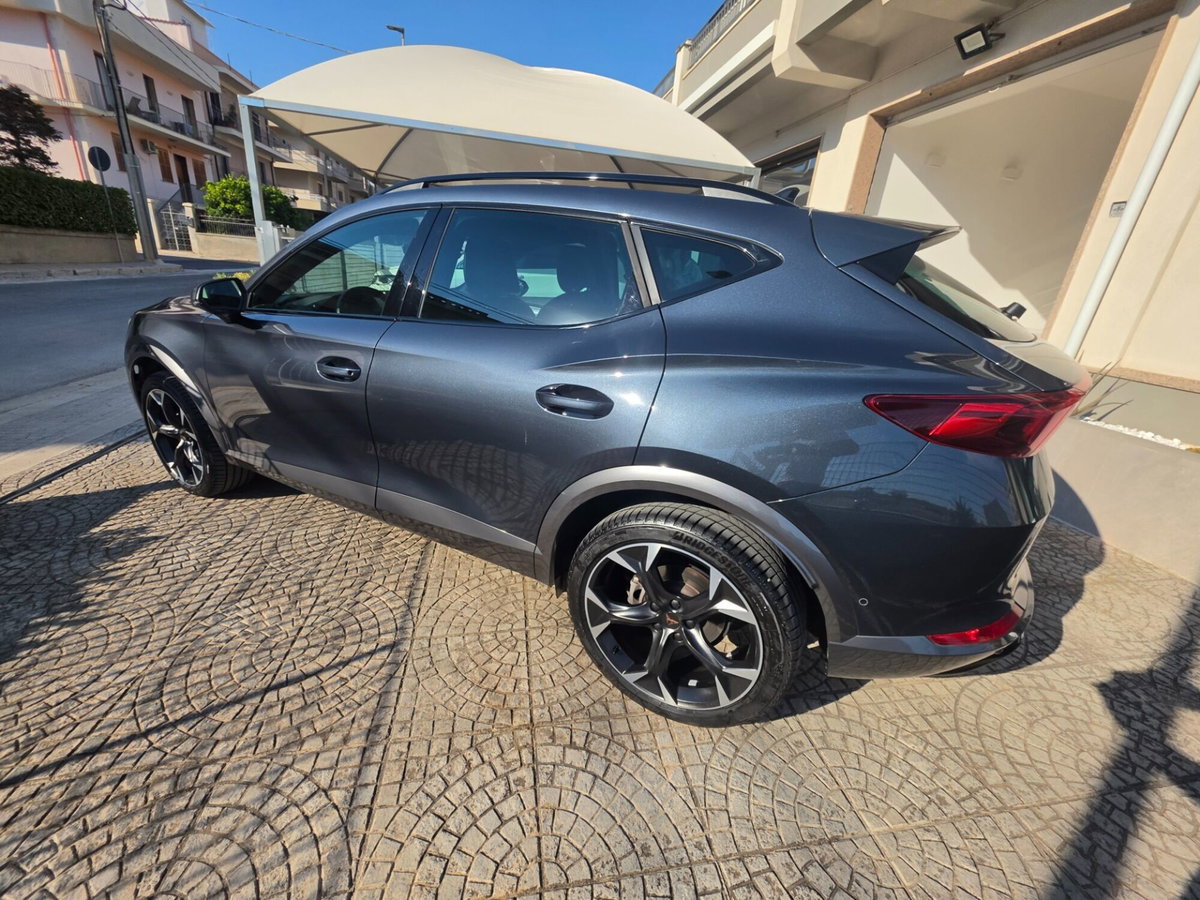 Cupra Formentor Formentor 2.0 TDI (19)