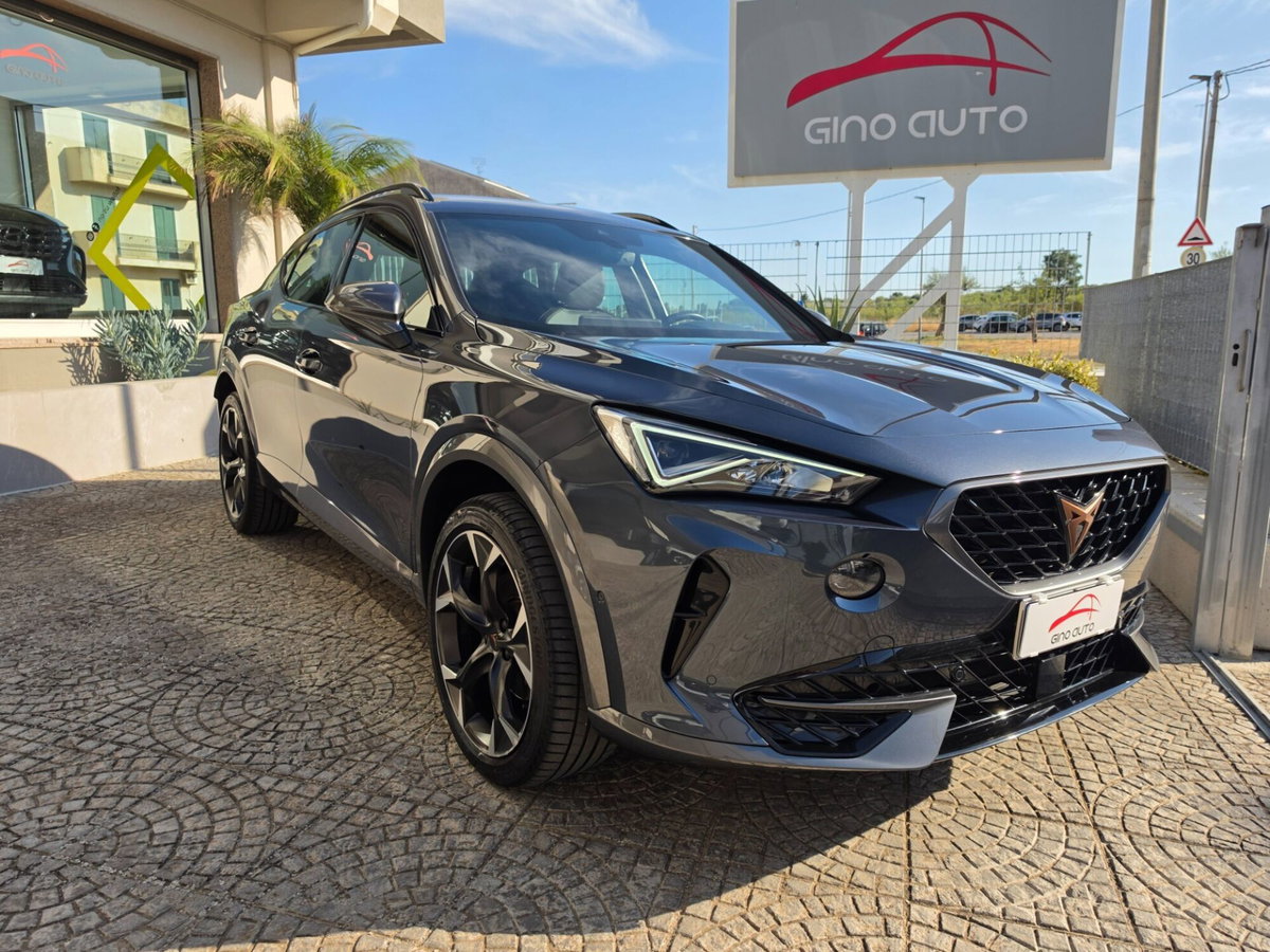 Cupra Formentor Formentor 2.0 TDI (2)
