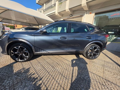 Cupra Formentor Formentor 2.0 TDI (20)