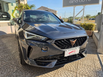 Cupra Formentor Formentor 2.0 TDI (4)