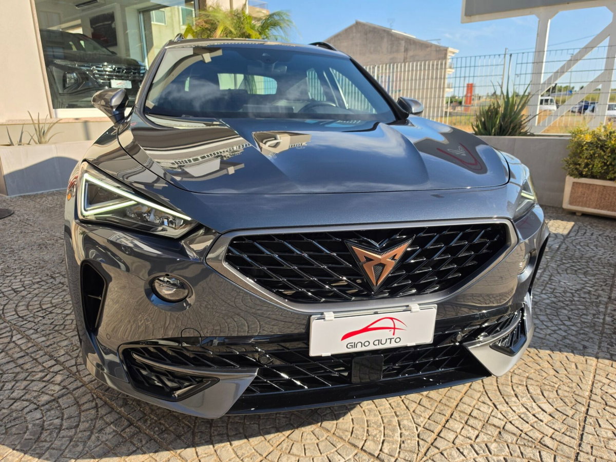 Cupra Formentor Formentor 2.0 TDI (5)