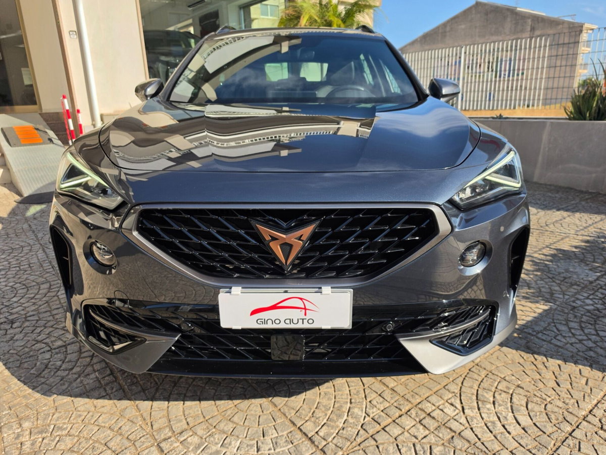 Cupra Formentor Formentor 2.0 TDI (6)