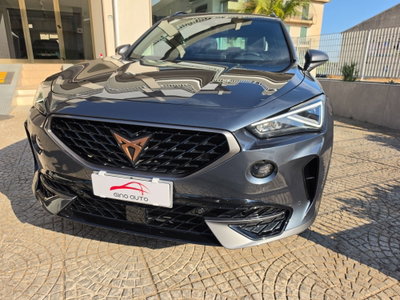 Cupra Formentor Formentor 2.0 TDI (7)