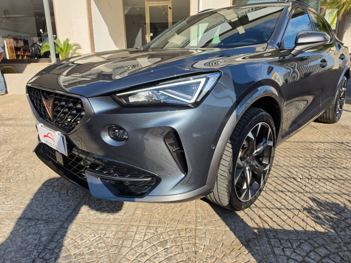 Cupra Formentor Formentor 2.0 TDI (9)