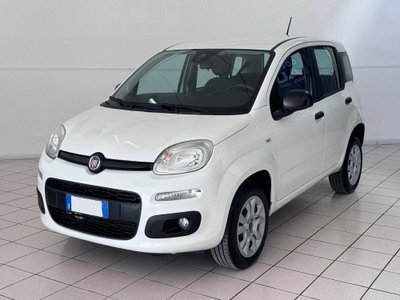 Fiat Panda 0.9 TwinAir Turbo Natural Power Easy usata