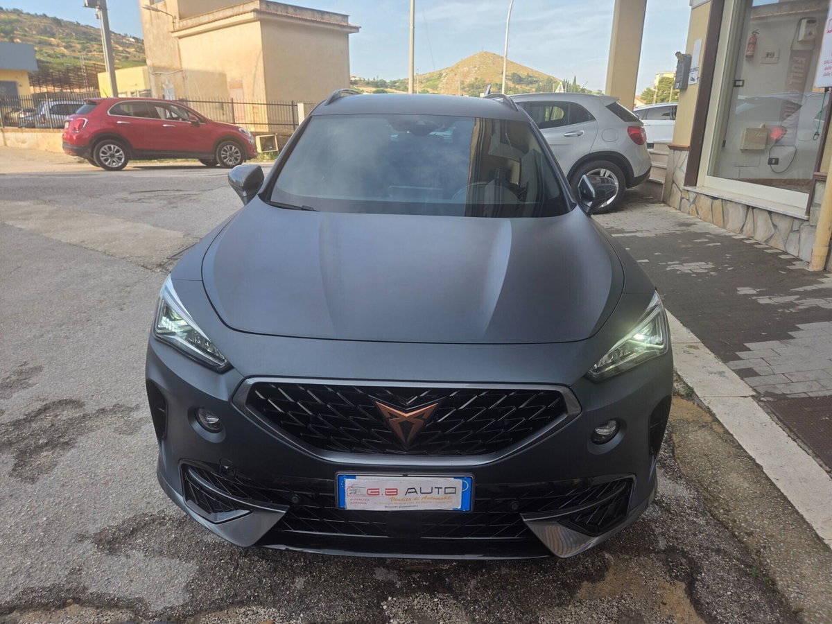 Cupra Formentor Formentor 2.0 TDI (9)