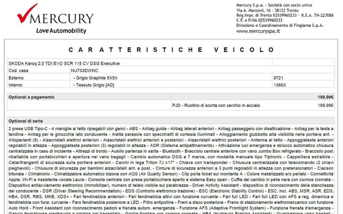 Skoda Karoq 2.0 TDI EVO SCR 115 CV DSG Executive (8)