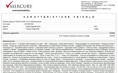 Skoda Karoq 2.0 TDI EVO SCR 115 CV DSG Executive (8)