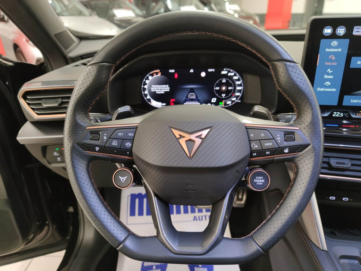 Cupra Formentor Formentor 1.5 TSI (15)