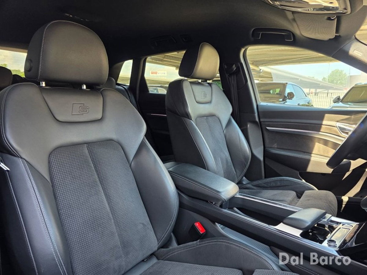 Audi e-tron 55 quattro Evolution (12)