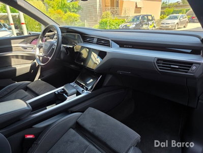 Audi e-tron 55 quattro Evolution (13)