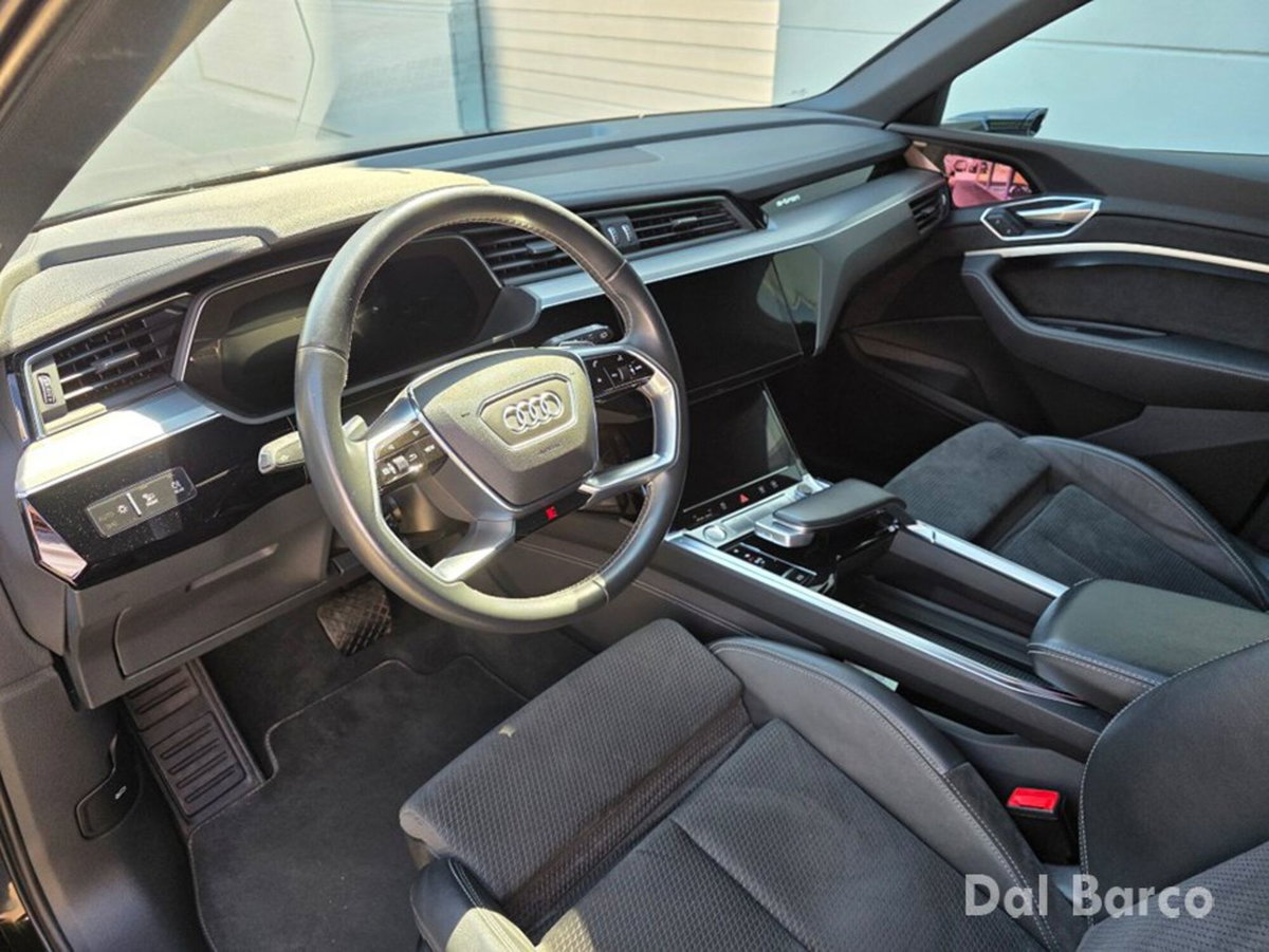 Audi e-tron 55 quattro Evolution (14)