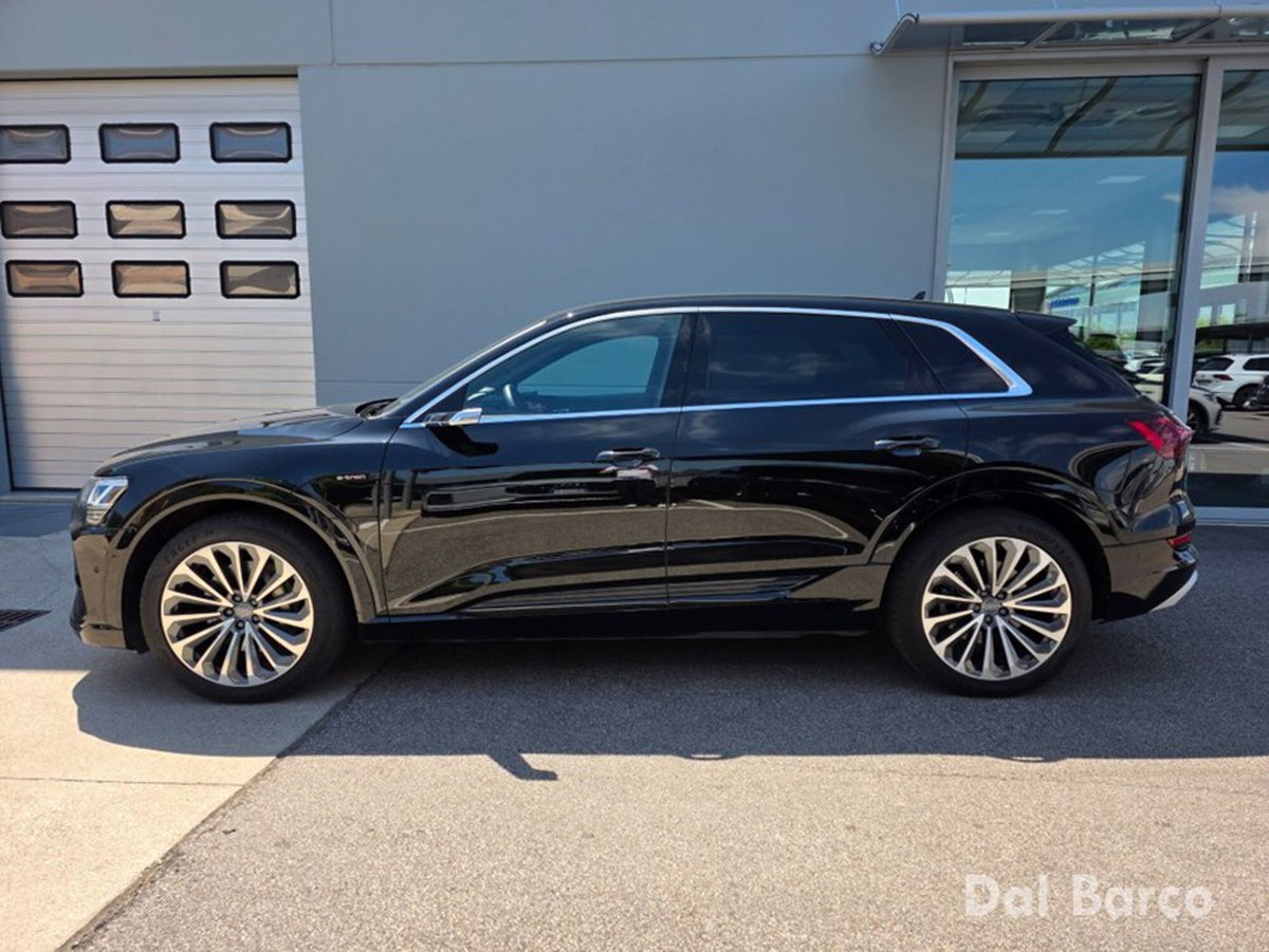 Audi e-tron 55 quattro Evolution (4)