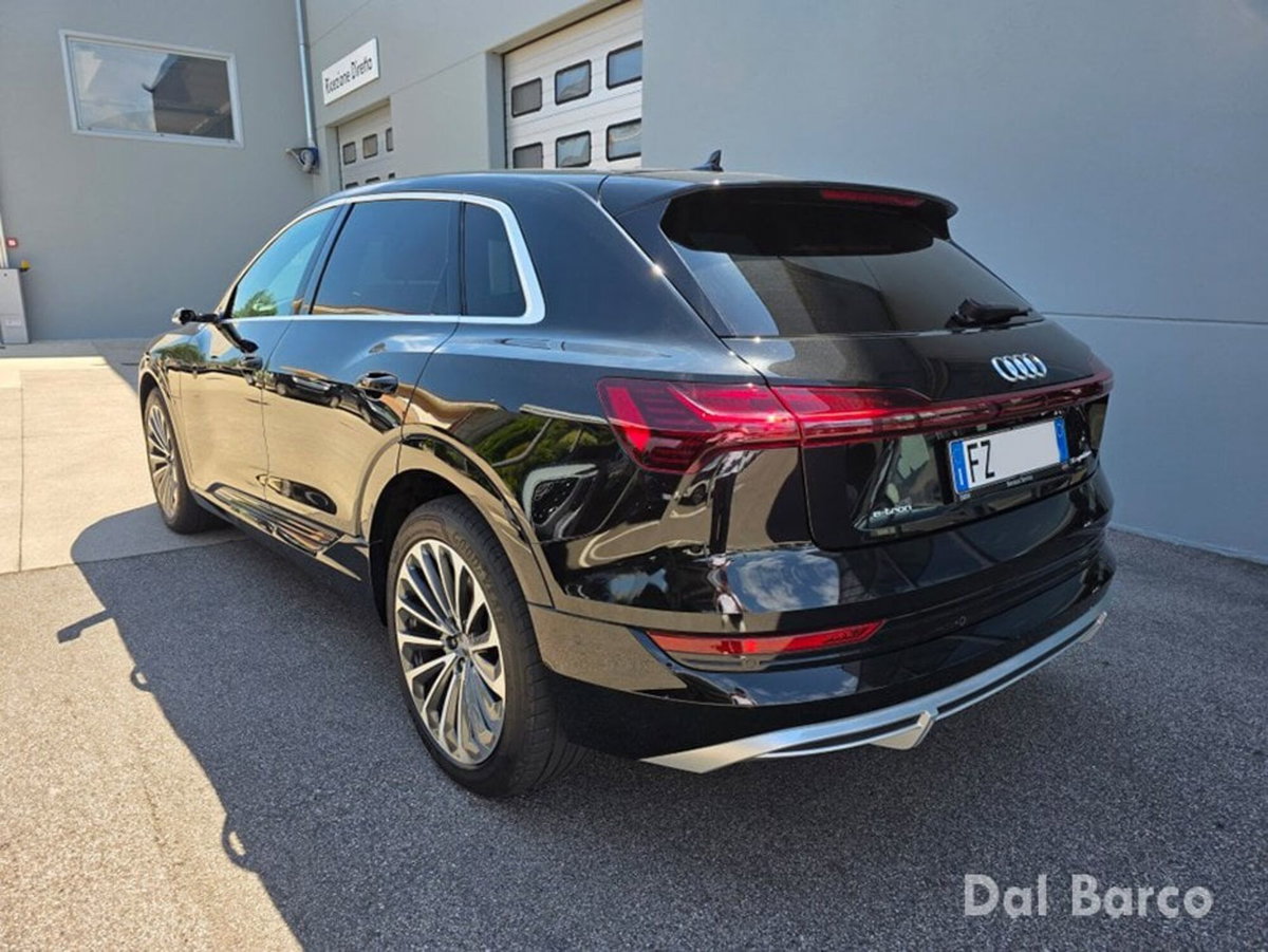 Audi e-tron 55 quattro Evolution (5)