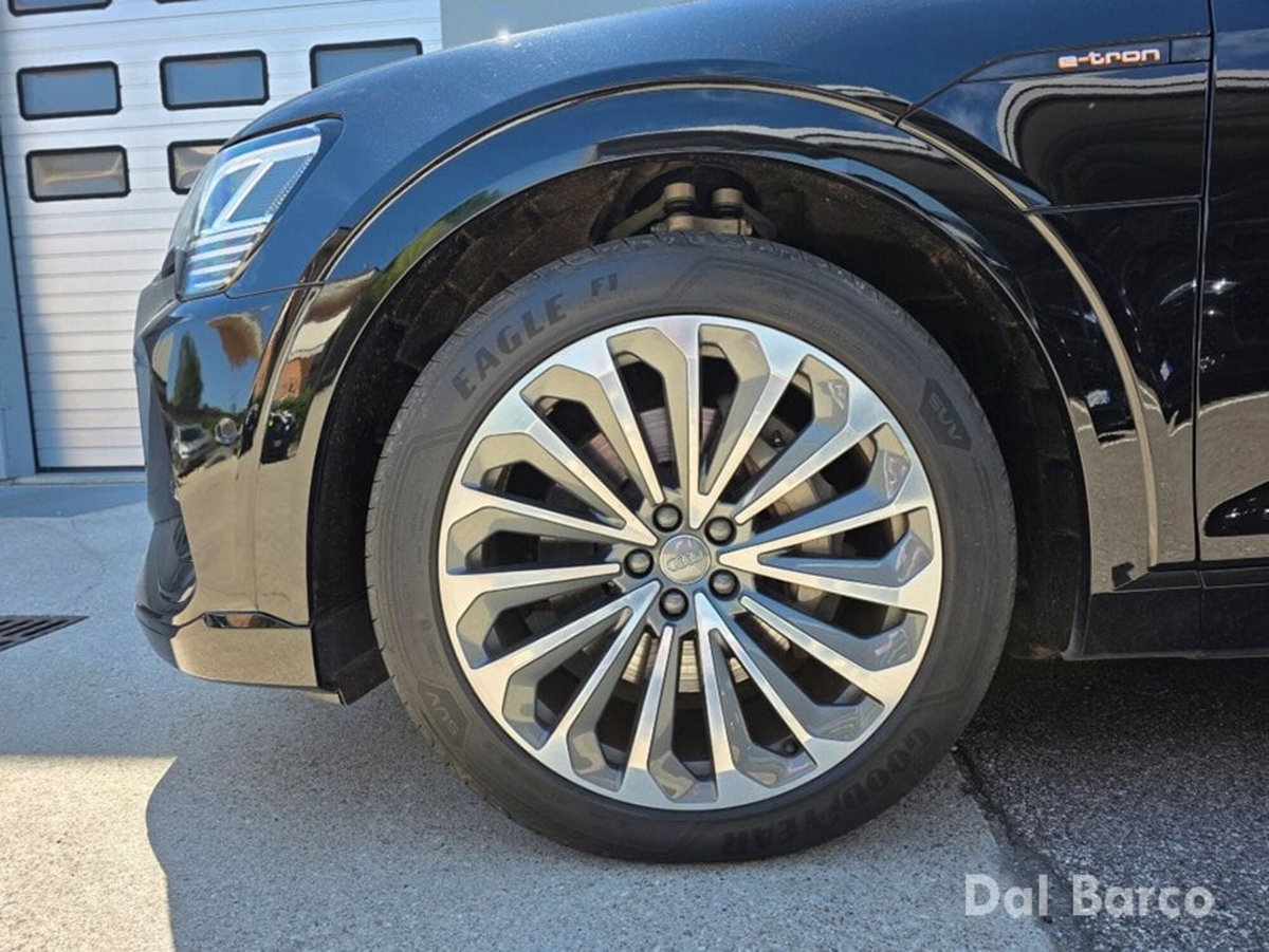 Audi e-tron 55 quattro Evolution (7)