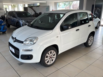 Fiat Panda 0.9 TwinAir Turbo Natural Power Easy usata