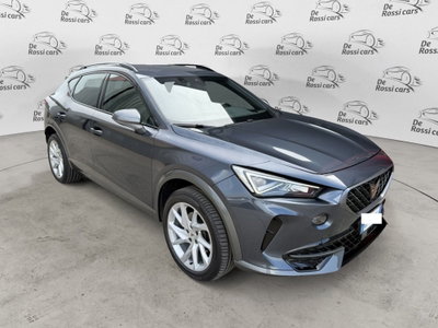 Cupra Formentor Formentor 2.0 tdi 4drive 150cv dsg (3)
