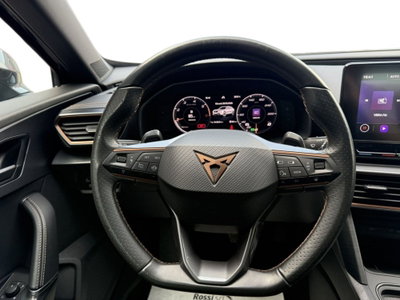 Cupra Formentor Formentor 2.0 tdi 4drive 150cv dsg (9)