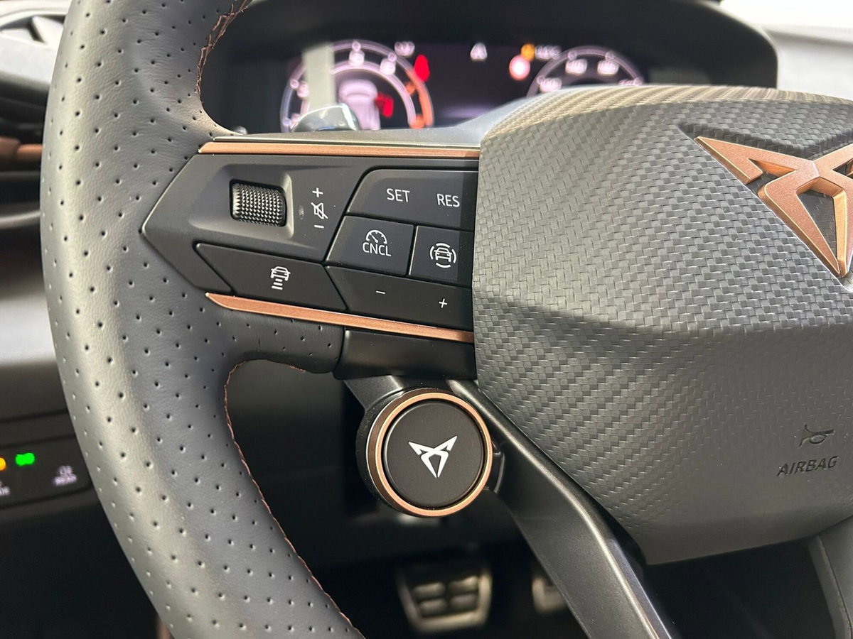 Cupra Terramar 1.5 hybrid 150cv dsg (11)
