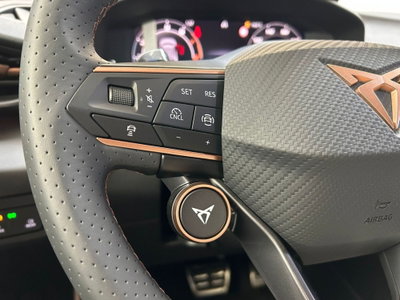Cupra Terramar 1.5 hybrid 150cv dsg (11)