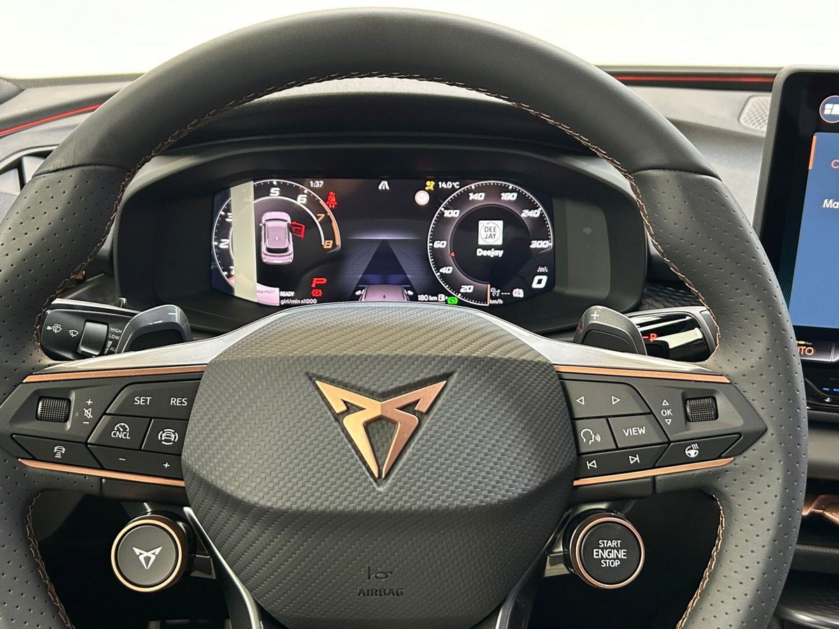 Cupra Terramar 1.5 hybrid 150cv dsg (12)