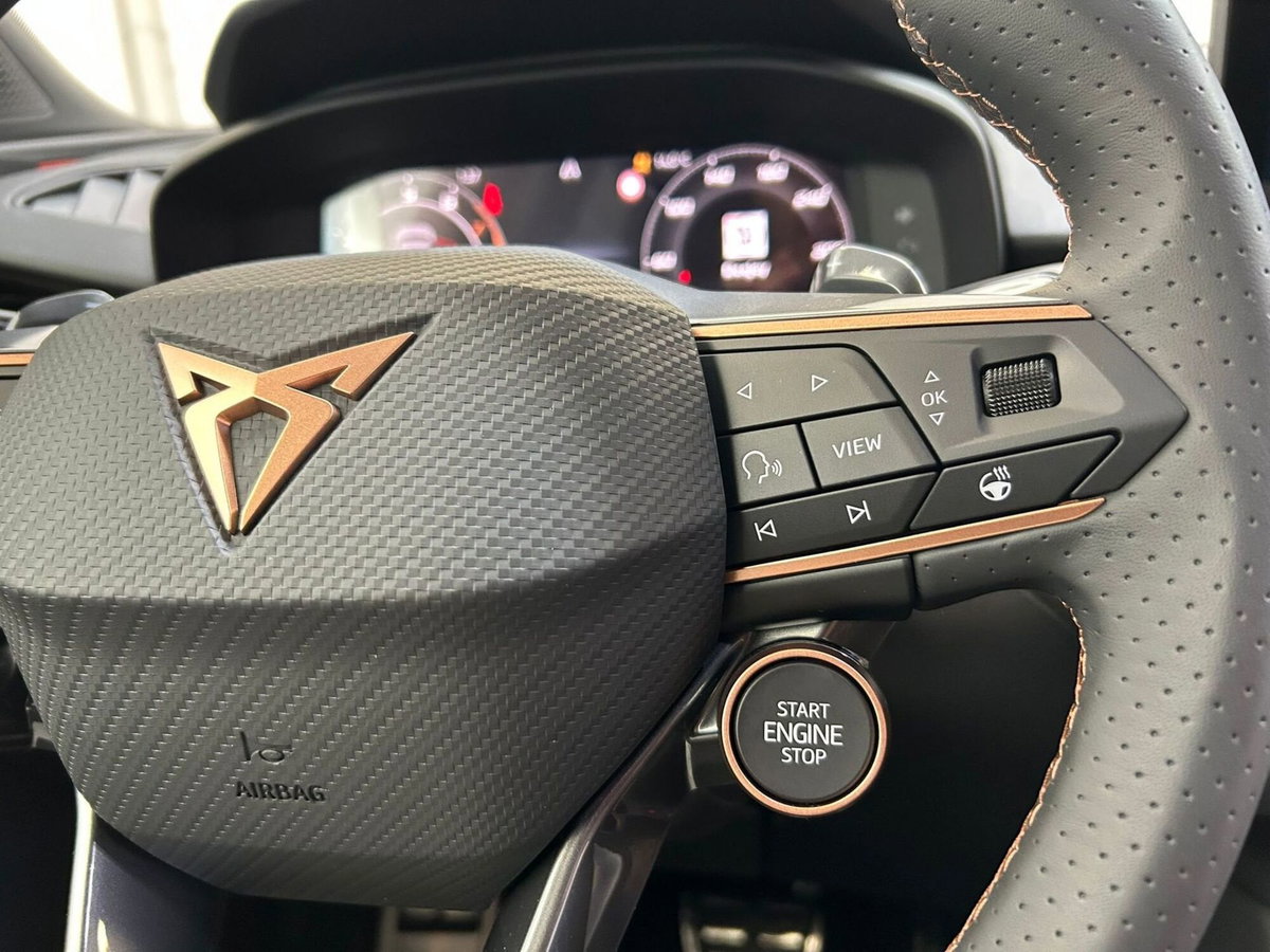 Cupra Terramar 1.5 hybrid 150cv dsg (13)