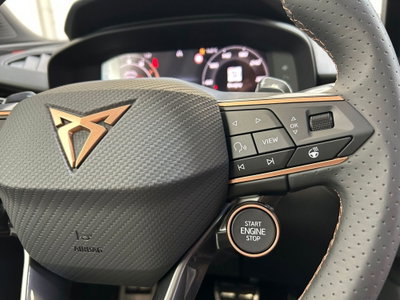 Cupra Terramar 1.5 hybrid 150cv dsg (13)