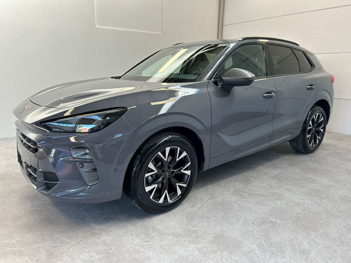 Cupra Terramar 1.5 hybrid 150cv dsg (2)