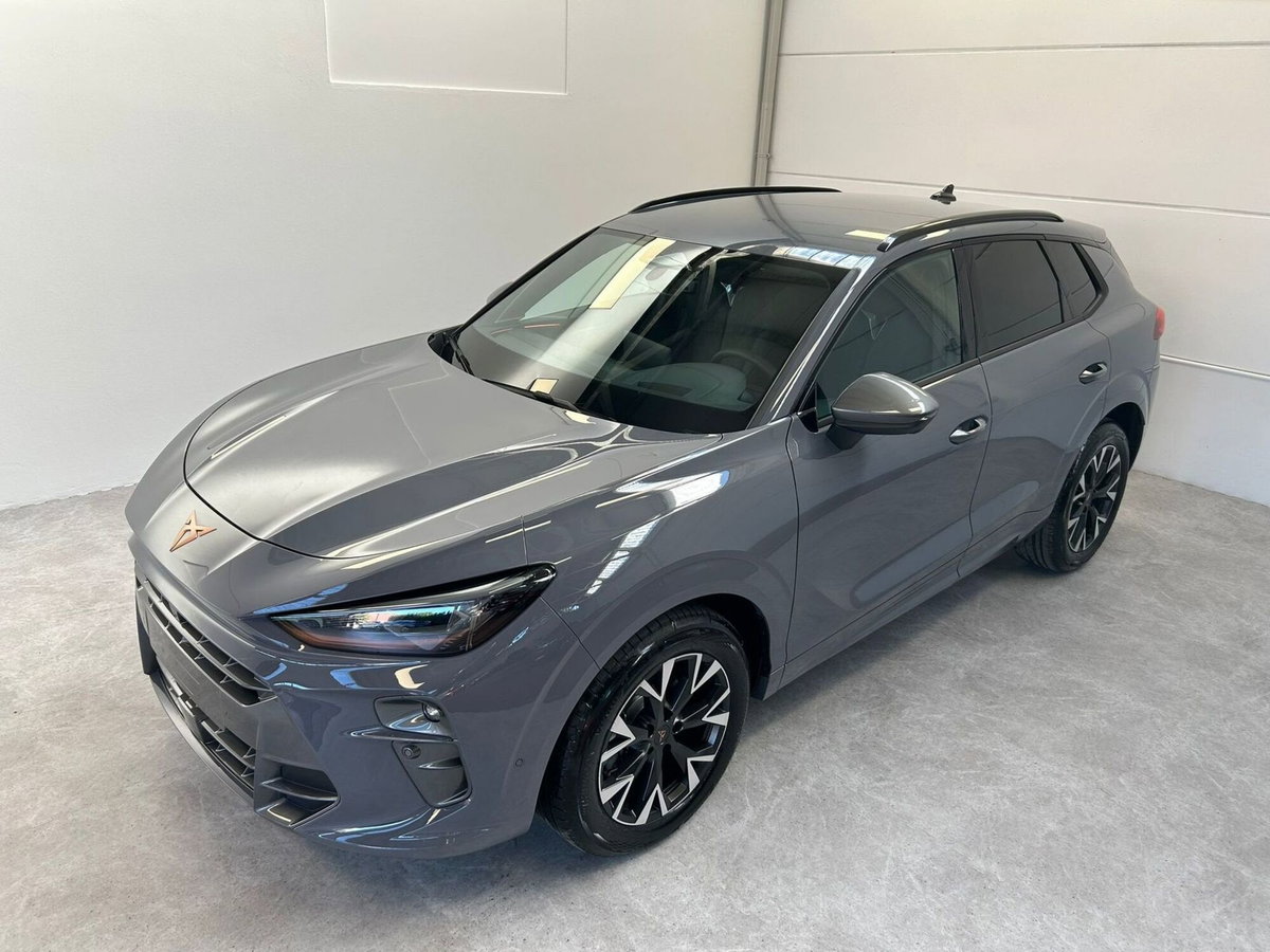 Cupra Terramar 1.5 hybrid 150cv dsg (3)