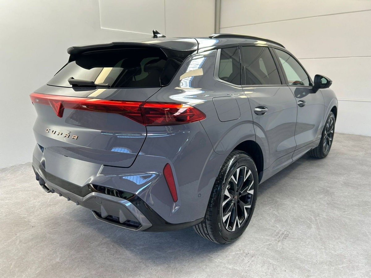 Cupra Terramar 1.5 hybrid 150cv dsg (6)