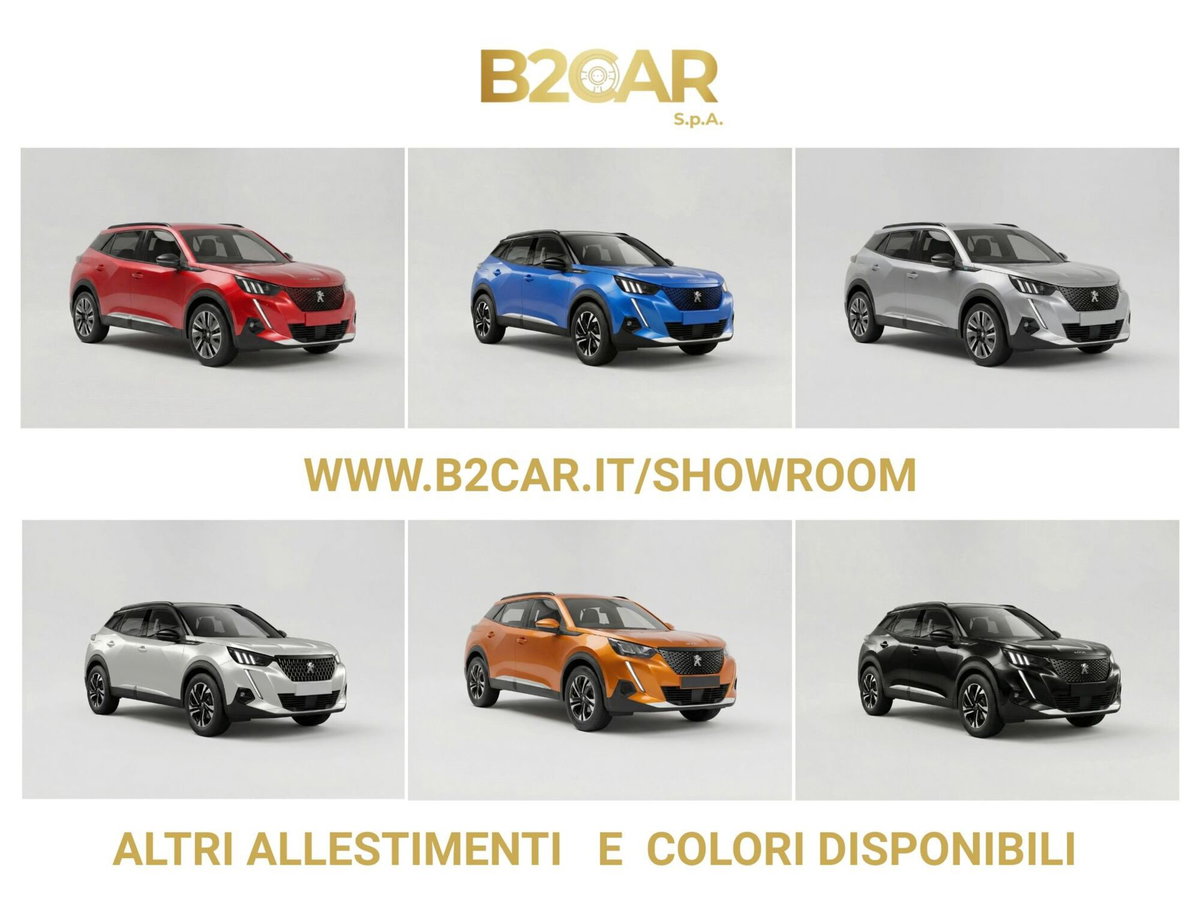 Peugeot 2008 BlueHDi 130 S&S EAT8 GT (4)