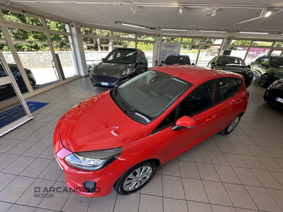 Ford Fiesta 1.1 75 CV 5 porte Plus (9)