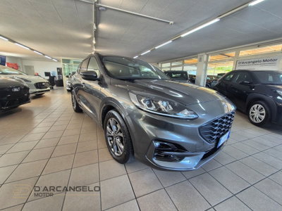 Ford Kuga 1.5 EcoBlue 120 CV 2WD ST-Line (3)