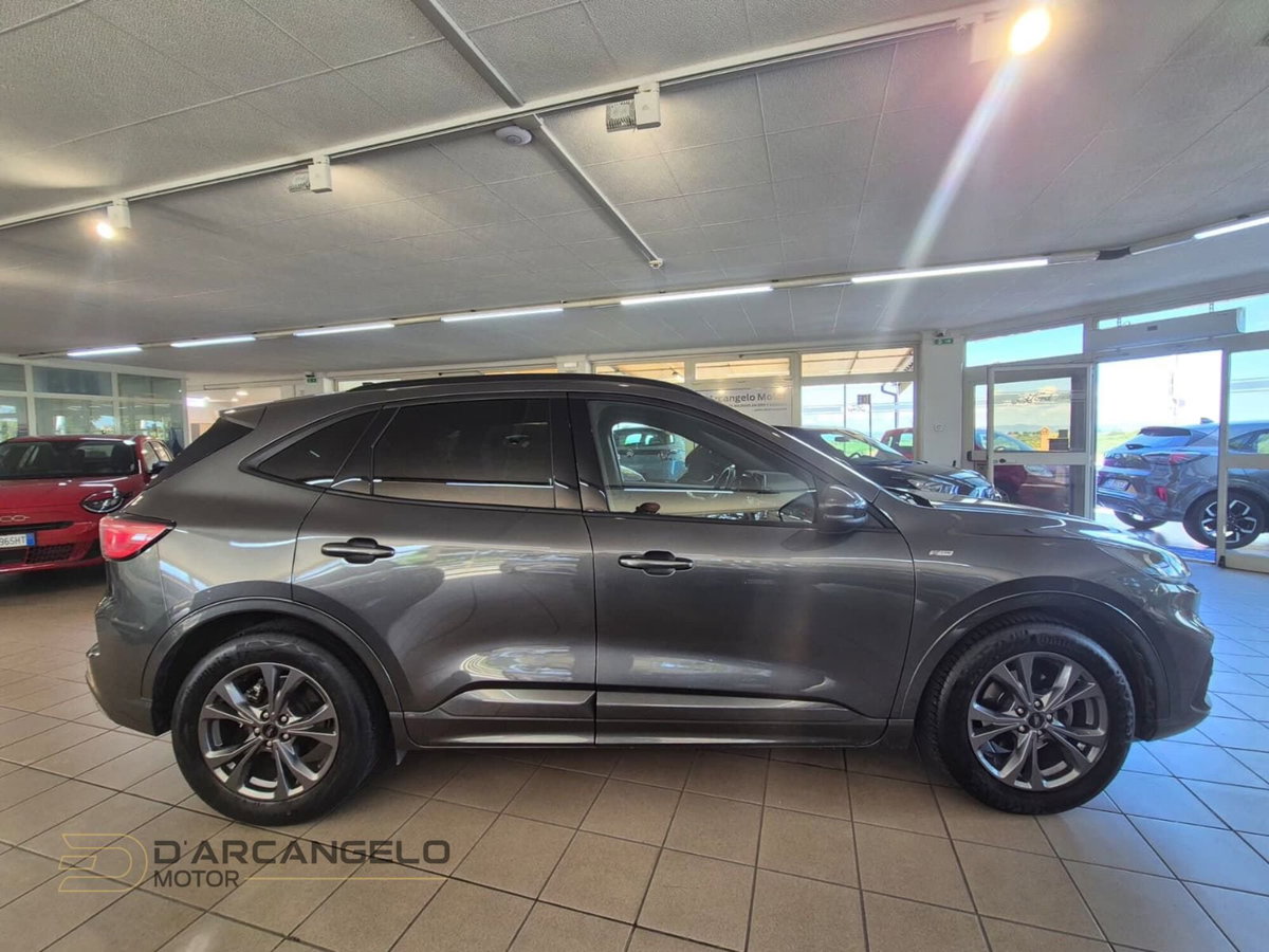 Ford Kuga 1.5 EcoBlue 120 CV 2WD ST-Line (4)