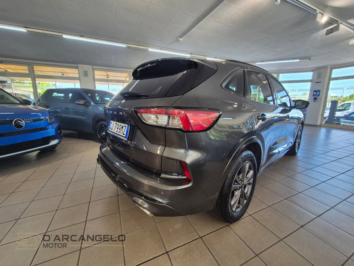 Ford Kuga 1.5 EcoBlue 120 CV 2WD ST-Line (5)