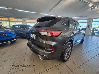 Ford Kuga 1.5 EcoBlue 120 CV 2WD ST-Line (5)