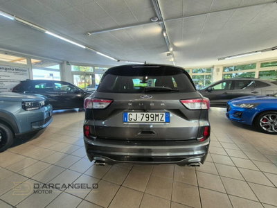 Ford Kuga 1.5 EcoBlue 120 CV 2WD ST-Line (6)