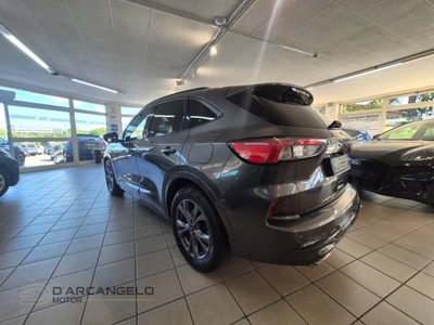 Ford Kuga 1.5 EcoBlue 120 CV 2WD ST-Line (7)