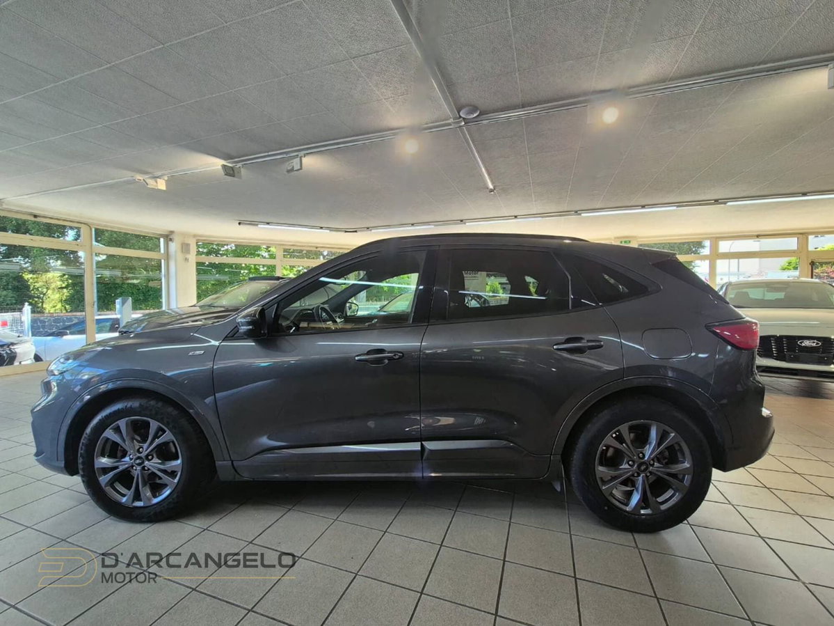 Ford Kuga 1.5 EcoBlue 120 CV 2WD ST-Line (8)
