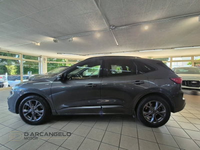 Ford Kuga 1.5 EcoBlue 120 CV 2WD ST-Line (8)